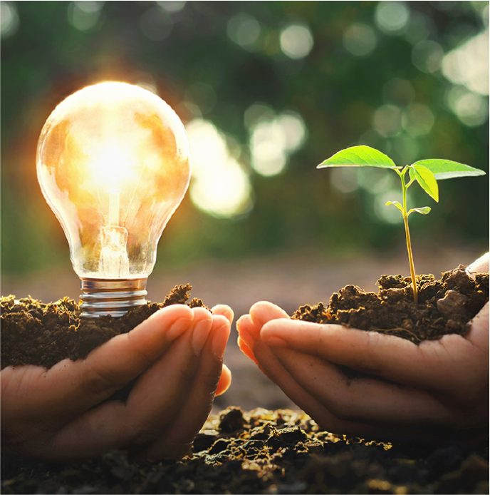 Two hands hold soil, one cradling a glowing light bulb and the other a small green plant.