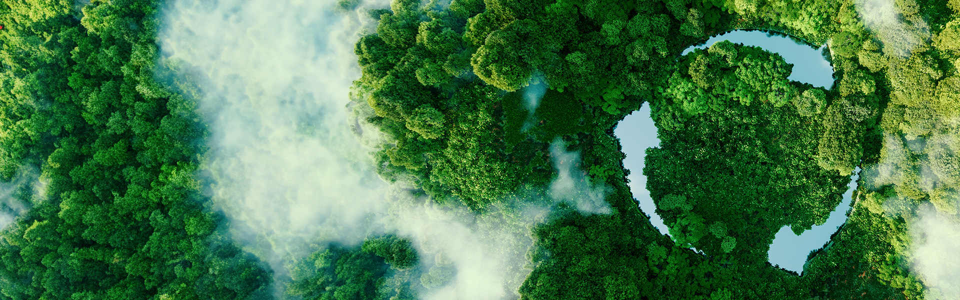 Abstract icon representing the ecological call to recycle and reuse in the form of a pond with a recycling symbol in the middle of a beautiful untouched jungle.