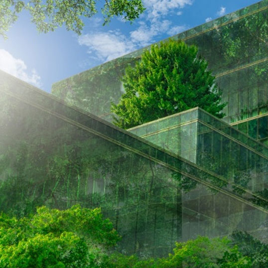 Sustainable Healthcare Recycling