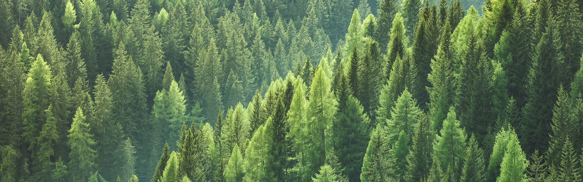 Sustainability